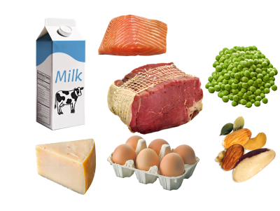 selection of protein foods including milk, cheese, eggs, nuts, peas, meat, fish 