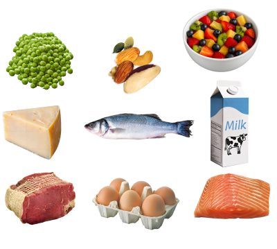 Selection of foods including milk, cheese, eggs, nuts, peas, meat, fish, fruit in a bowl